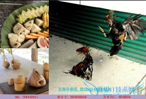 Èû°àµºÂÃÓÎרҵÂÃÓÎÍŶӼ泬ÓŻݼÛÄ¿±í