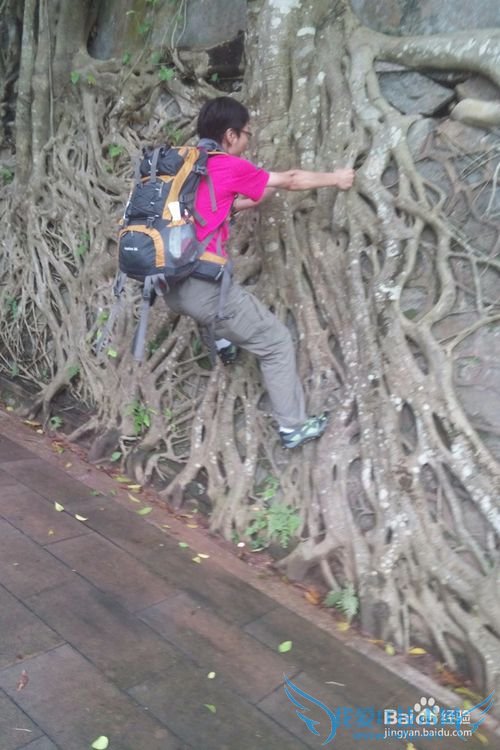 如何选择和装备户外包让它真正成为你旅游的神器