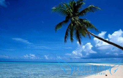 �ļ��������ǹ���ָ��