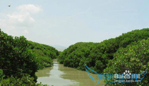 深圳免费旅游景点大全(1)