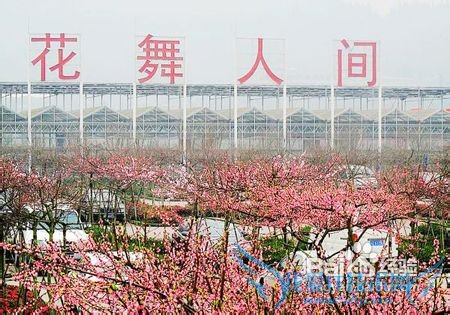 花舞人间旅游攻略