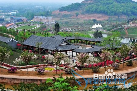 花舞人间旅游攻略