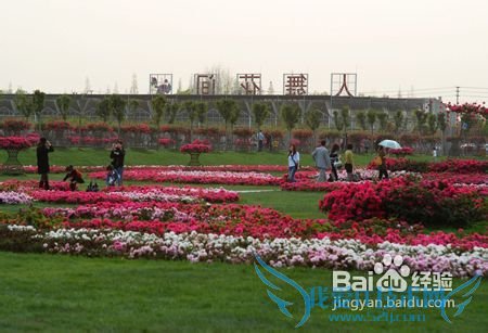 花舞人间旅游攻略