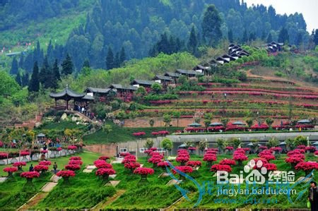 花舞人间旅游攻略