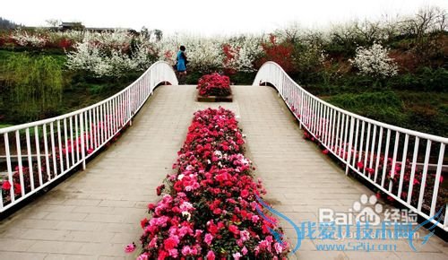 花舞人间旅游攻略