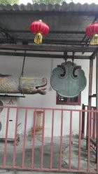 广州一日游——光孝寺-农讲所-烈士陵园-中大