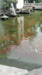 广州一日游——光孝寺-农讲所-烈士陵园-中大