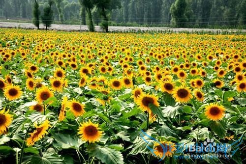 北京旅游景点大全 之 清凉避暑旅游全攻略大全