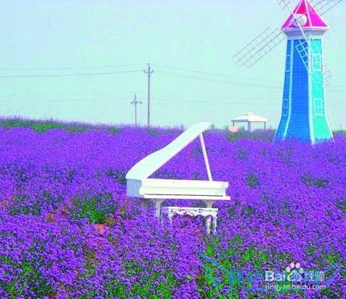 洛阳有那些好玩的地方