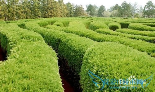 韩国经典旅游路线 轻松感受异国风情