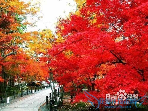 大连到北京旅游攻略