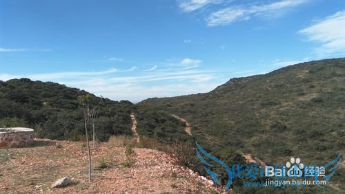 墨西哥旅游攻略六:特基斯基亚潘、拉特立尼达村