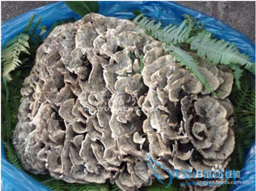 云南昆明特色美食简介