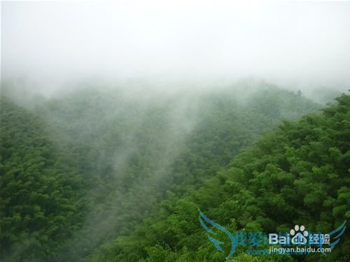 成都旅游必去之地