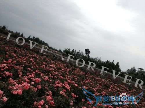 成都旅游必去之地