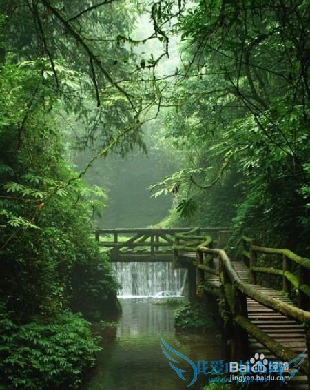 成都旅游必去之地