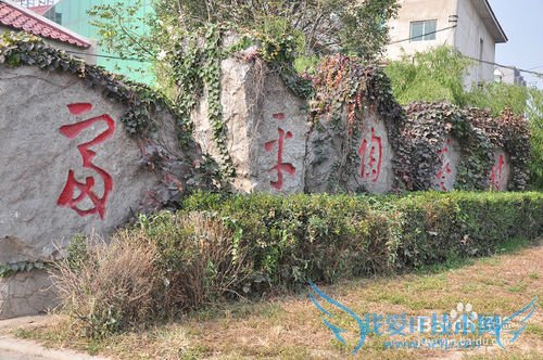 陕西富平旅游攻略