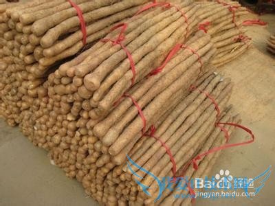 焦作旅游特产选购攻略