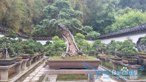 福州西湖公园旅游攻略