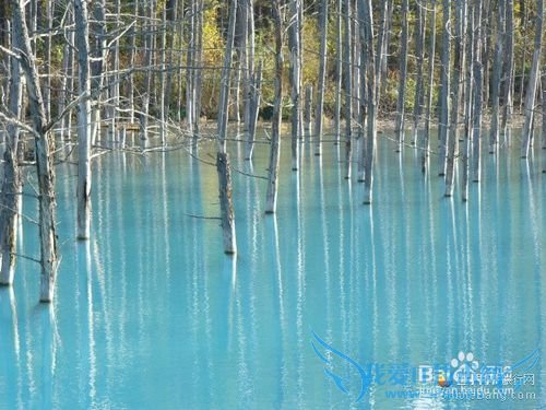 2015暑假北海道旅游攻略