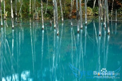 2015暑假北海道旅游攻略