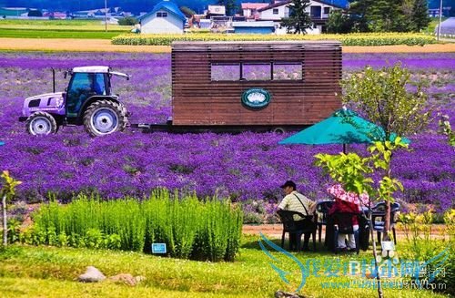 2015暑假北海道旅游攻略