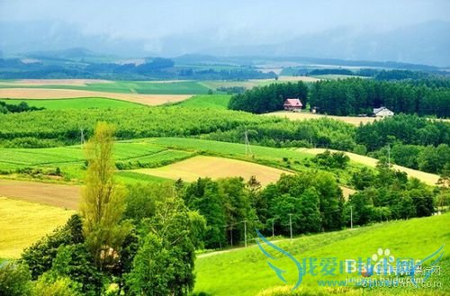 2015暑假北海道旅游攻略