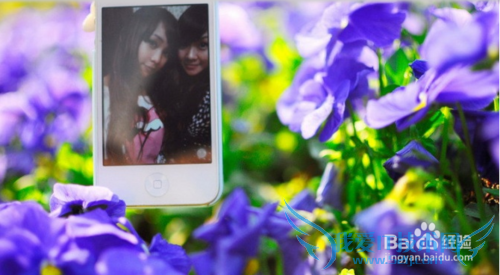 云南旅游攻略指南