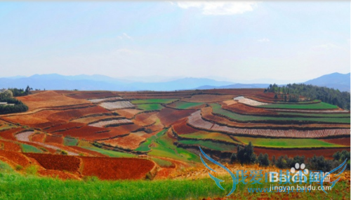 云南旅游攻略指南