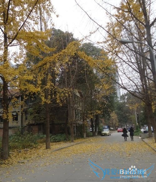 成都三日旅游攻略