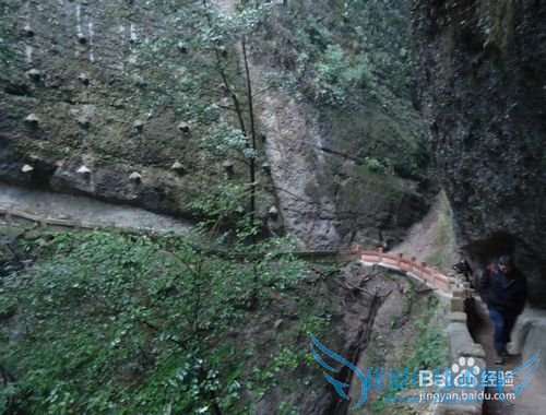 成都三日旅游攻略