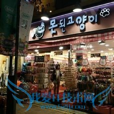 来首尔去哪里好呢