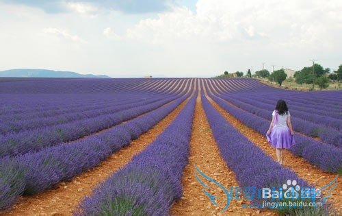 冬季欧洲旅游攻略