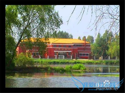 古城依兰旅游建议