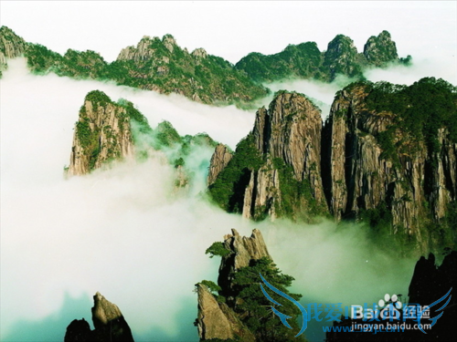 春节最佳旅游地