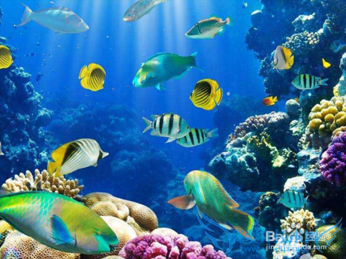 春节最佳旅游地