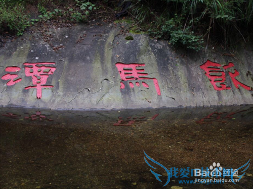 春节最佳旅游地