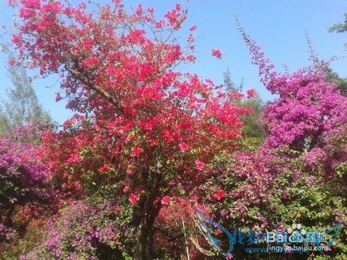 厦门旅游攻略-厦门旅游景点介绍