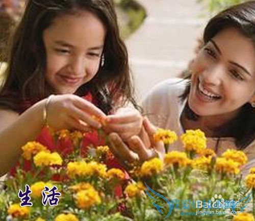 亲子旅游如何实施