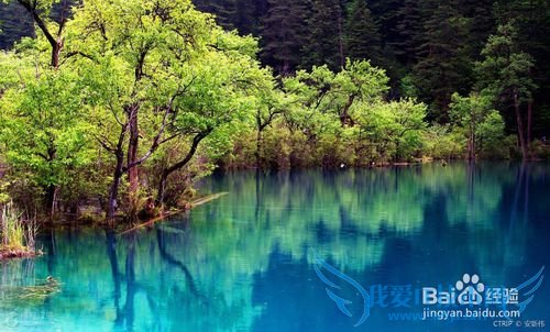 九寨沟风景区旅游攻略