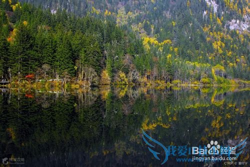 九寨沟风景区旅游攻略