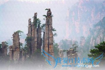 怎样旅游最省钱?