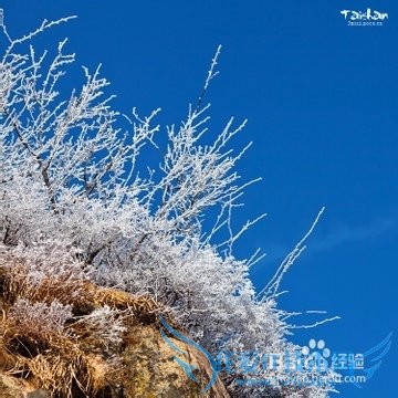 旅游爬泰山需要注意什么问题及需要带什么东西
