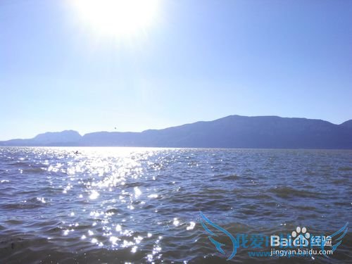 昆明滇池旅游攻略