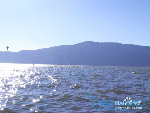 昆明滇池旅游攻略