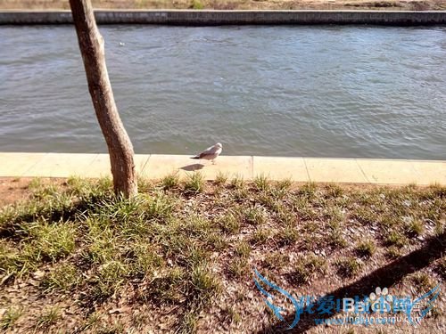 昆明滇池旅游攻略