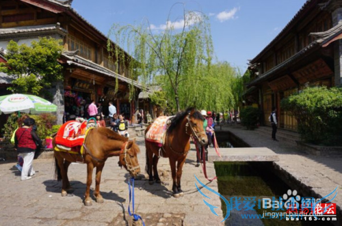 云南丽江住宿旅游攻略