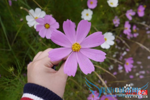 云南丽江住宿旅游攻略