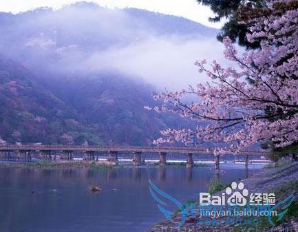 去日本旅游要多少钱