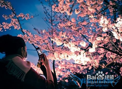 去日本旅游要多少钱